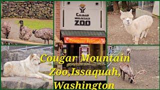 Tigers, Cougars, Wolf, and many more at Cougar Mountain Zoo, Issaquah,WA :TravelwithN3Family