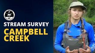 Campbell Creek Stream Survey in Beautiful Anchorage