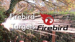 Firebird Targets - Exploding Reactive Targets