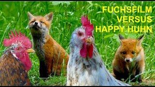 Fuchsfilm-de  bei HAPPY HUHN