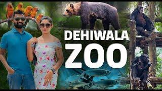 Dehiwala Zoo Animals Video (Saththu Waththa) in Colombo, Sri Lanka - Ticket Price and Full Tour