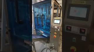 達威機械超大型螺杆全自動包裝機