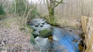 A walk around Lustleigh Cleave, Dartmoor National Park, England, UK.