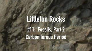 Littleton Rocks #11-Fossils, Part 2-Carboniferous Period