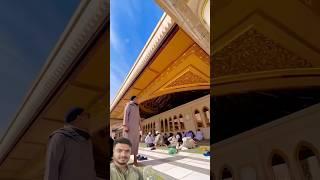 Madina Sharif ️ #viralshort #shorts #viralvideo