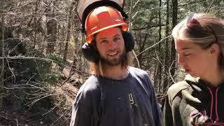 Logging operation in the lumber Capital