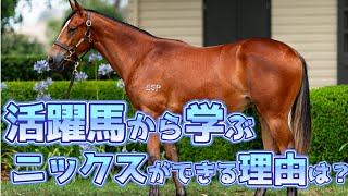 【一口馬主】活躍馬から学ぶ血統論 ニックスができるのはナゼ？ withクロキリさん