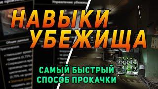 КАЧАЙ УБЕЖИЩЕ ПРАВИЛЬНО ● ГАЙД ПО НАВЫКАМ ESCAPE FROM TARKOV ● #тарков #eft #tarkov