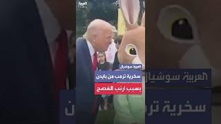 بسبب أرنب.. ترمب يسخر من بايدن