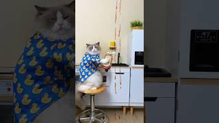  Dive into Puff’s world of kitchen hacks! Who knew cooking could be this fun?  #ThatLittlePuff
