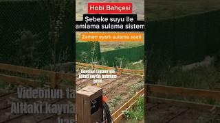 #reklam Şebeke suyu ile hobi bahçesi damlama sulama sistemi #keşfet #hobibahçesi #damlasulama