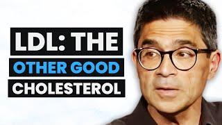 Cardiologist REVEALS Why LDL Cholesterol Is Actually Good for You (It DOESN’T Cause Heart Disease)