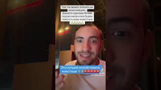 Кто любит животных? Помогите  ТИК ТОК В ОПИСАНИИ  #ПомощьЖивотным #СпасемЖивотных