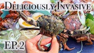 Deliciously Invasive Ep.2: European Green Crab as Sustainable Food Source