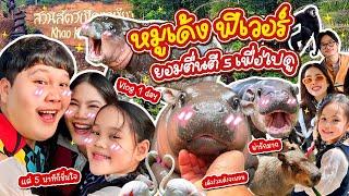 ใครไม่เด้งหมูเด้ง! พากันตื่นตี 5 เพื่อไปหา ”หมูเด้ง“ ฟินนน | BB Memory