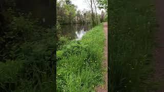 #Shorts along the Canal in spring #hiking #photography #landscape #towpath #park #spring #canal