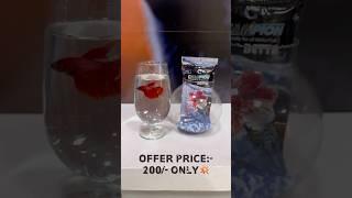 BETTA FISH Offers @thezoopets #betta #bettafish #aquarium #fighterfish