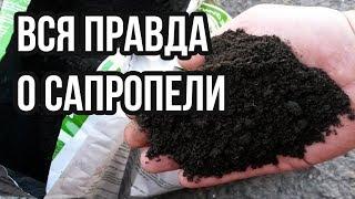 Сапропель. Что это такое и как использовать?