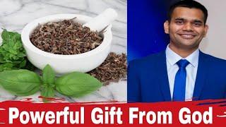 What Will Happen If You Will EAT HOLY BASIL/TULSI For Straight 30 Days + CONTRAINDICATIONS