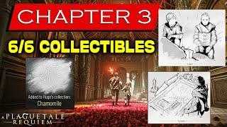 A Plague Tale Requiem All Chapter 3 Collectible Locations | Chamomile | A Grave | Our Home | Tools