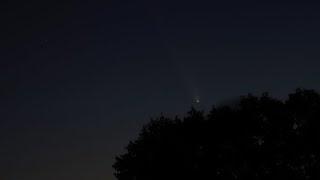 Video of Comet Tsuchinshan-ATLAS Passing By Earth From My Backyard