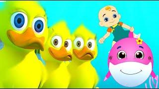 Five little ducks + Baby Shark Do Do Do @DelTvKids  #nurseryrhymes