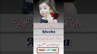 Abeeha(ابیحہ) Islamic Baby Girls Name With Meaning In Urdu Hindi