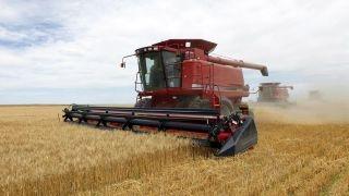 US farmers being squeezed by overseas competition