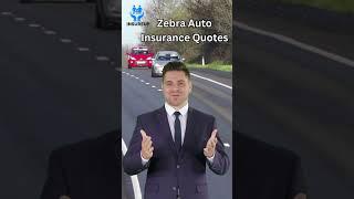 Zebra Auto Insurance Quotes