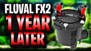 Fluval FX2 1 Year Later - A Great Aquarium Canister Filter For Medium To Large Fish Tanks!