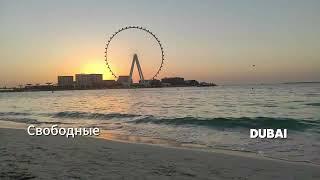 Register a Business In Dubai UAE-Come to Dubai and start your business | KINGDOMS CONSULTING