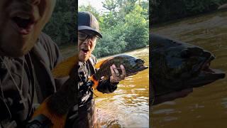 Gosh I Love River Smallies! | Smallmouth Bass Fishing #shorts