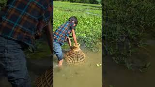 Village Traditional Bamboo Tools Polo Fishing Video #shots #viral #fishing #highlights