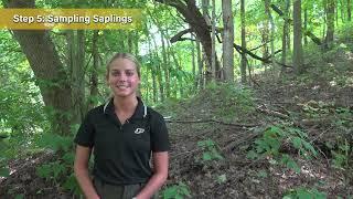 Monitoring Deer Impacts on Indiana Forests: Ten-Tallest Method