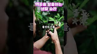 액운을 탈출하는 생활 습관#액운소멸 #액운 #좋은기운