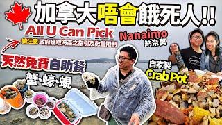 Canada Free seafood buffet  All U Can Pick (license required) Nanaimo Tour |Crab Pot | Eng subtitles