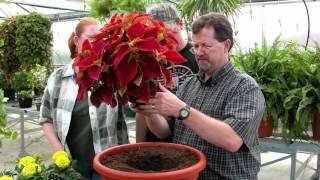 ASU-Beebe Agriculture Program