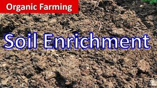 Soil Enrichment  for Organic Farming and Use of Biofertilizers