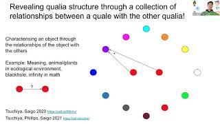 Naotsugu Tsuchiya Qualia Structure Grant Meeting