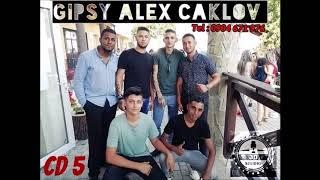 Gipsy Alex Caklov 5 - Rodav cajora