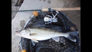 Top 10 Lakes for Walleye Fishing in Nebraska