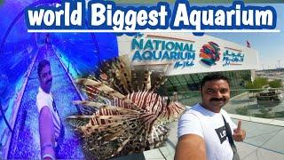 World Biggest Aquarium | Abu Dhabi UAE | National Aquarium Abudhbi full tour | Tulu Vlog