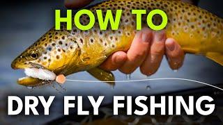 Beginner's Guide to Dry Fly Fishing — 6 Steps to Success! | Episode 16