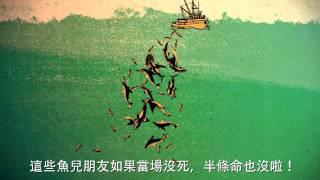 【守護海洋】打開鮪魚罐頭的殘酷秘密