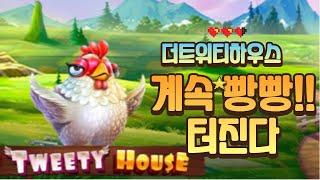 [슬롯뽕] 6 THE TWEETY HOUSE: 더트위티하우스 계속 빵빵터지는 닭집 맥스윈 MAXWIN