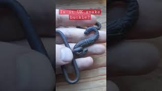 Snake buckle from ? #metaldetecting #history #uk #snake #treasurehunt