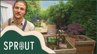 Sprout - Gardening Channel: Blooming Garden Inspirations