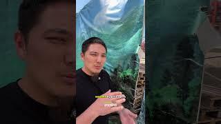 Новый объект 4600 кв м