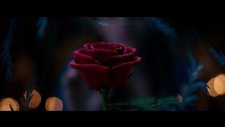 미녀와 야수  BEAUTY AND THE BEAST  1차 공식 예고편 (한국어 CC)