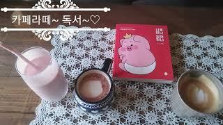 정선맛집 VLOG(다육이 카페 뒤뜰)